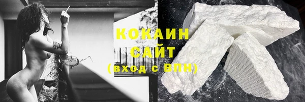 прущий лед Алзамай