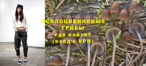 прущий лед Алзамай