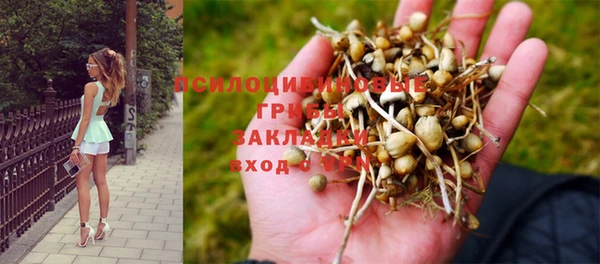 a pvp Алексин